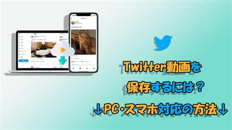 ツイッター動画保存方法|X/Twitterの動画をPCに保存する方法（2023年11月最。